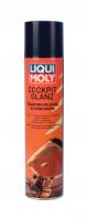 ср-во д/ухода за пластиком liqui moly cockpit glanz, 0,3л изображения ср-во д/ухода за пластиком liqui moly cockpit glanz, 0,3л фото